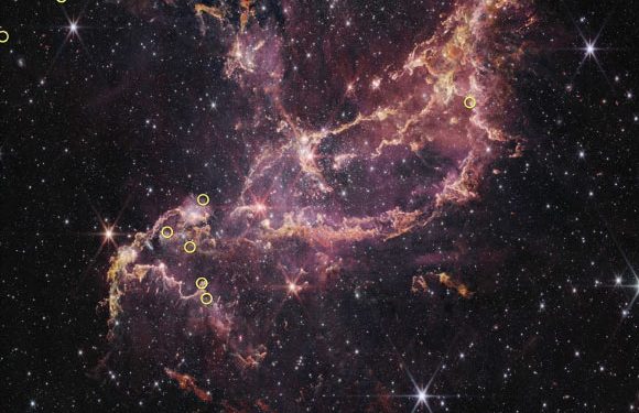 Protoplanetary Disks around Sun-Like Stars Appear to Live Longer in Early Universe