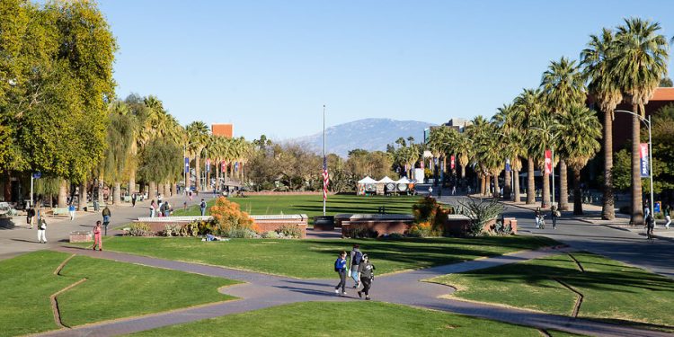 Need a job? Try majoring in the humanities, more colleges say.